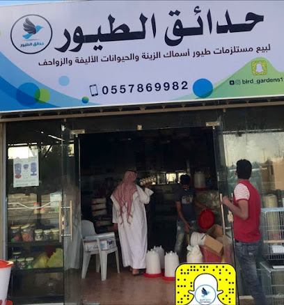 سوق الطيور - بريدة -