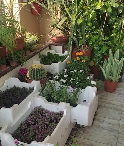 حضانة بساتين الأندلس - أبها - +966 54 721 7431