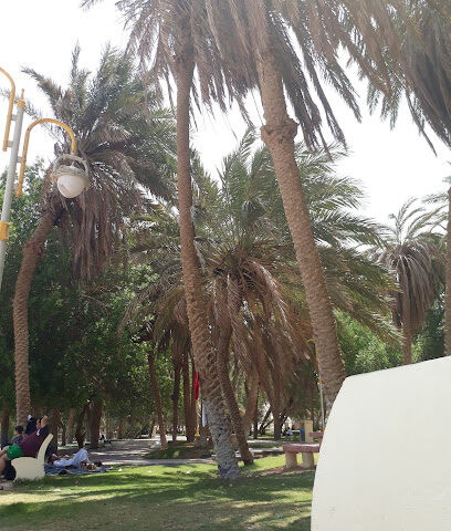 مؤسسه سعود حامد البلوي للمقاولات والمباني السكنيه الثقيله - تبوك - +966 55 038 9899