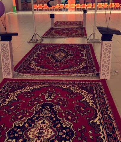 البحث الأولى بإسكان رمادة للبنات - رمادا -