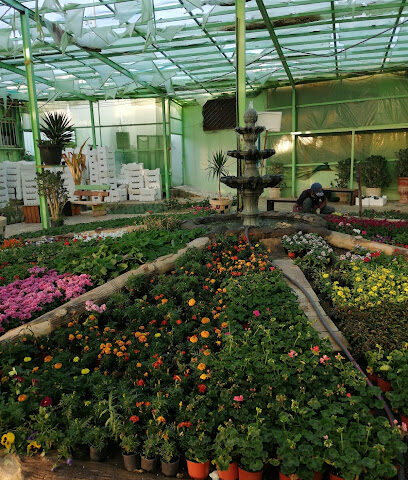 مشتل وادي عطود - خميس مشيط - +966 50 474 4711