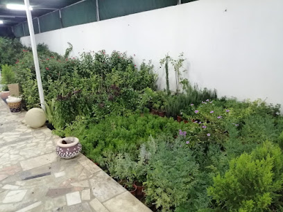 مشتل ريف نجران - نجران - +966 56 361 6170