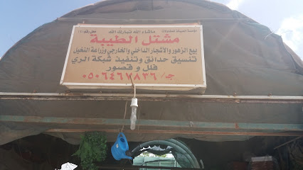 مشتل الطيبة - الرياض - +966 50 646 7836